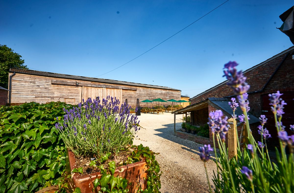Gallery Item 4 for Stock Farm Wedding and Events Barn